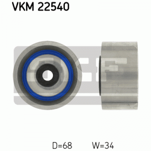 VKM 22540