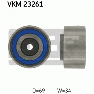 VKM 23261
