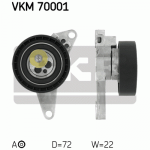 VKM 70001