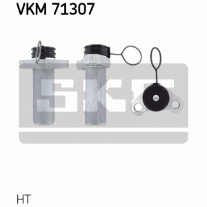 VKM 71307