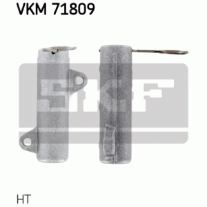 VKM 71809